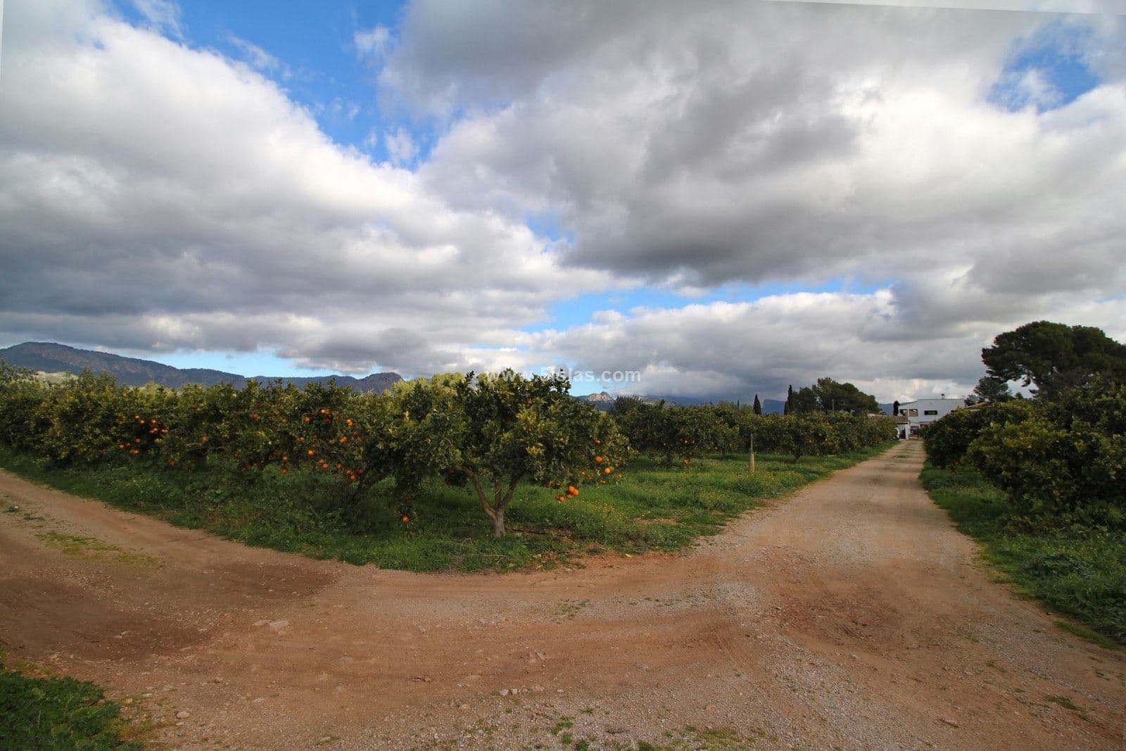 finca rural con vistas a la tramuntana - Foto 5