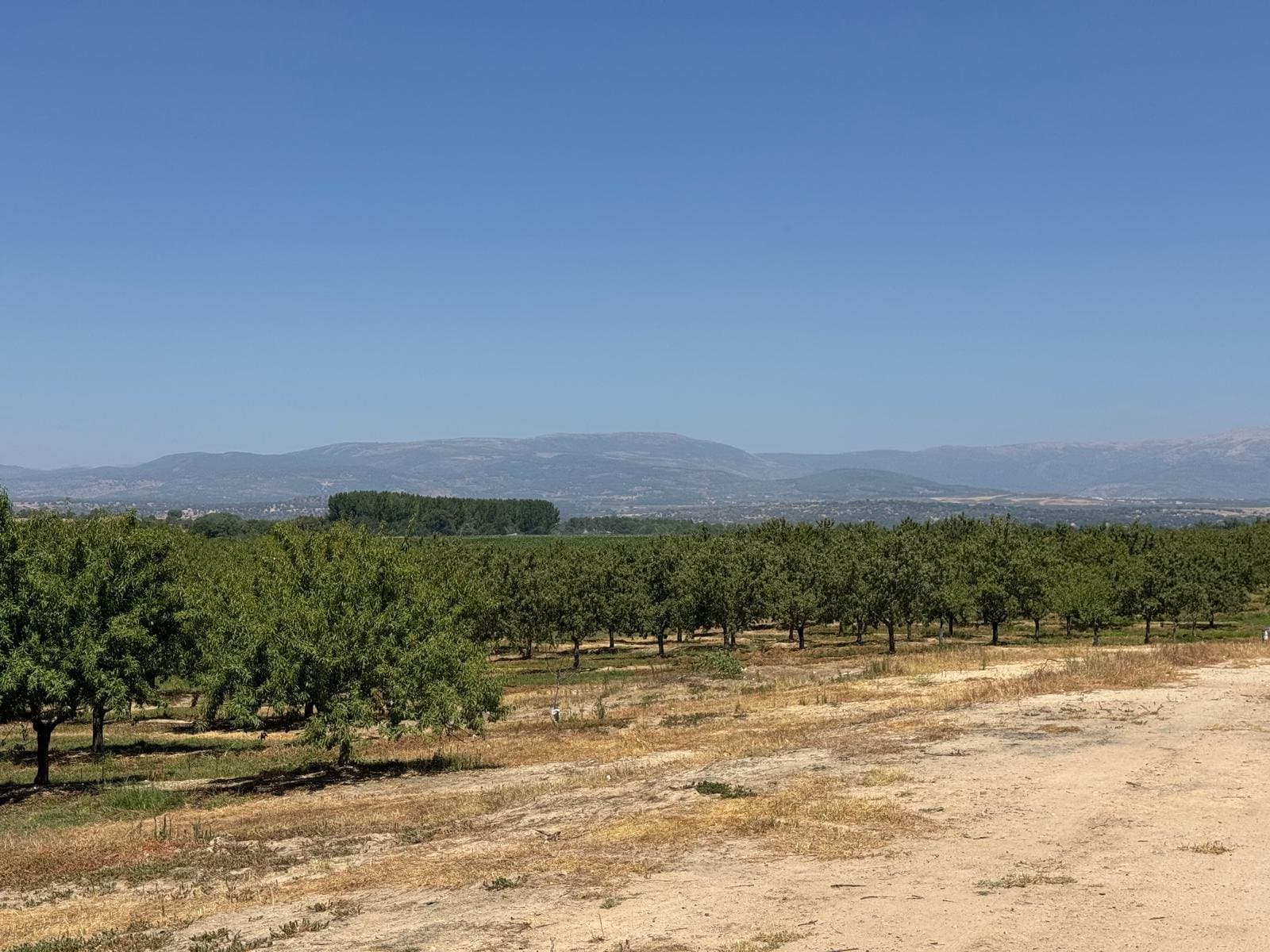 Terreno - Majadas - Foto 2