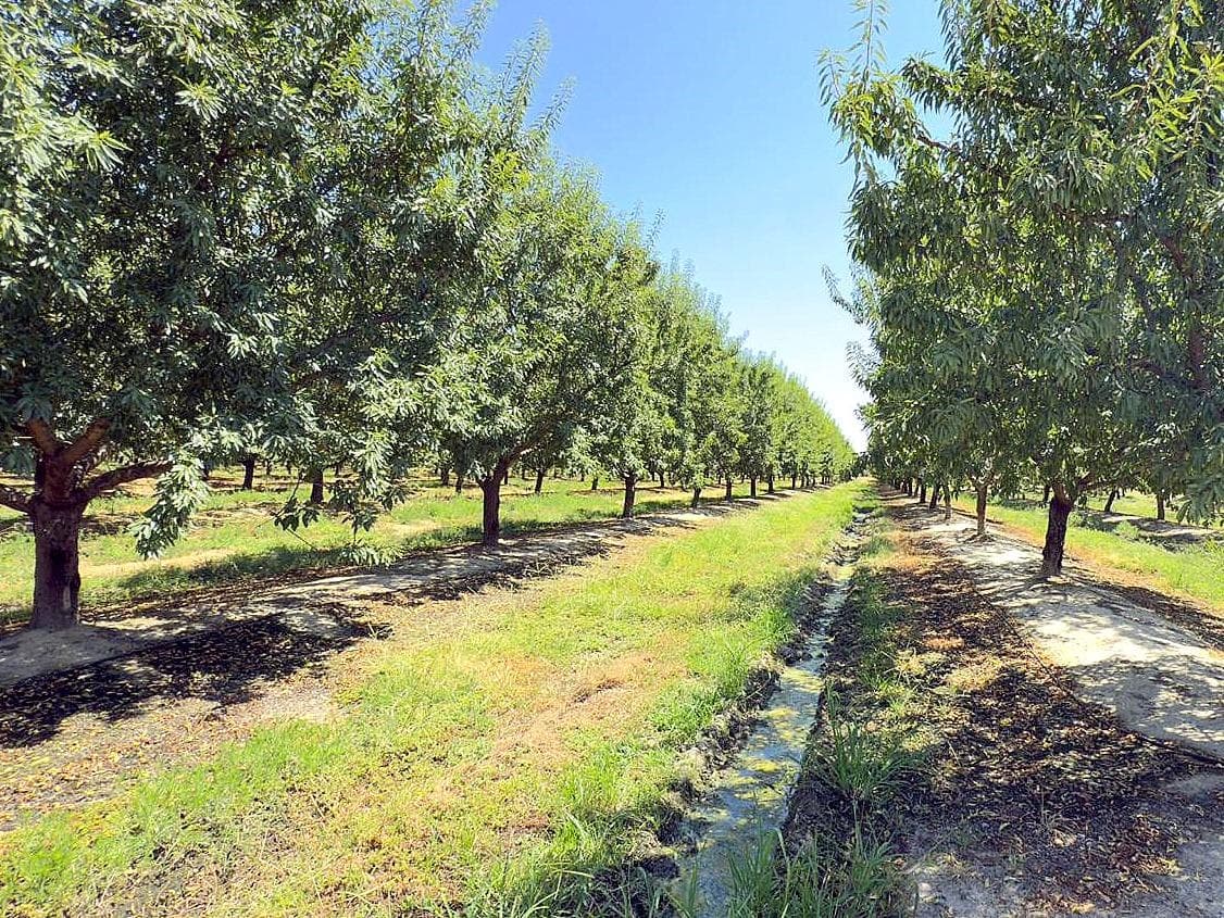 Terreno - Majadas - Foto 3