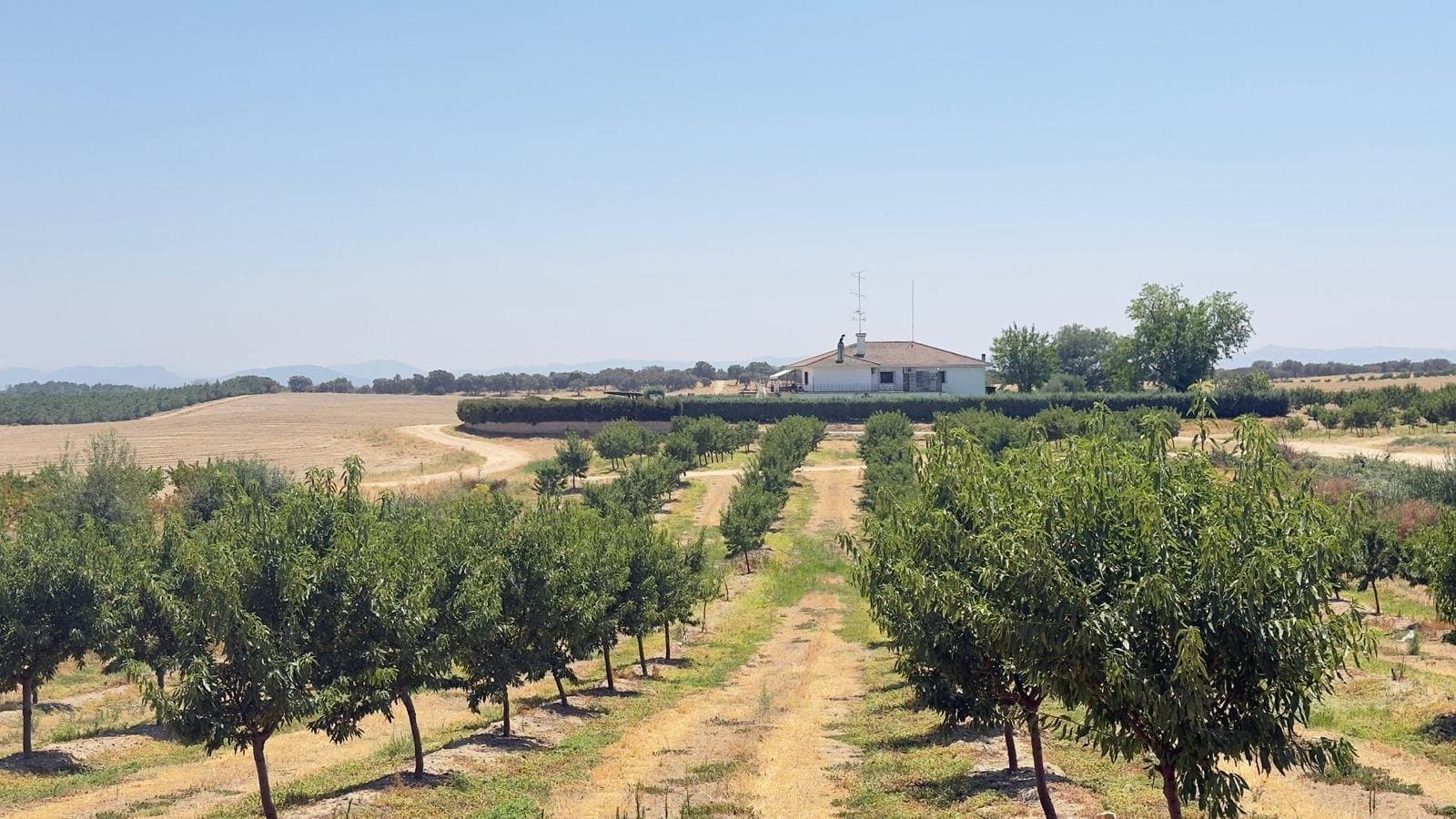 Terreno - Majadas - Foto 1