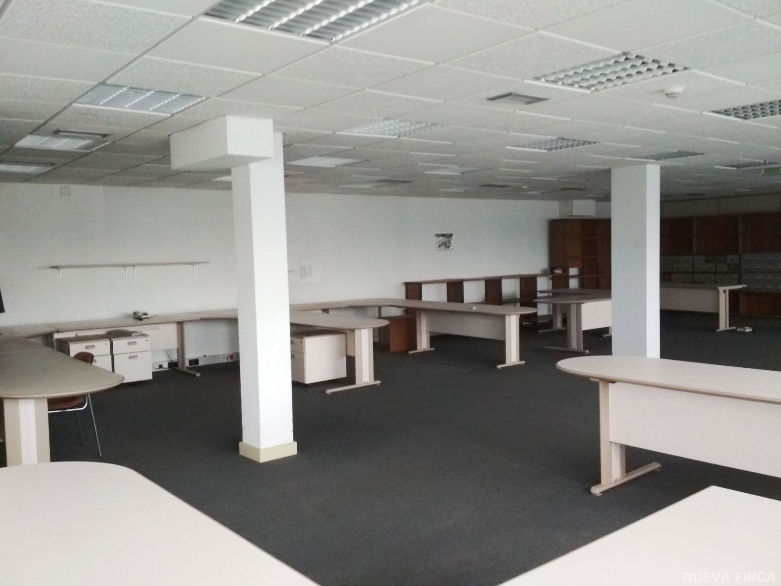 OFICINAS EN ALCALDE MARTIN COBOS - Foto 4