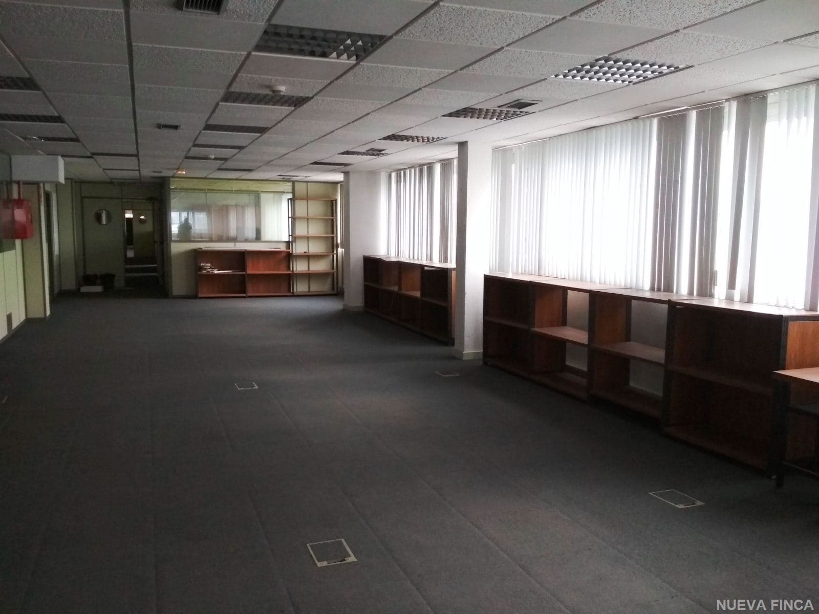 OFICINAS EN ALCALDE MARTIN COBOS - Foto 3