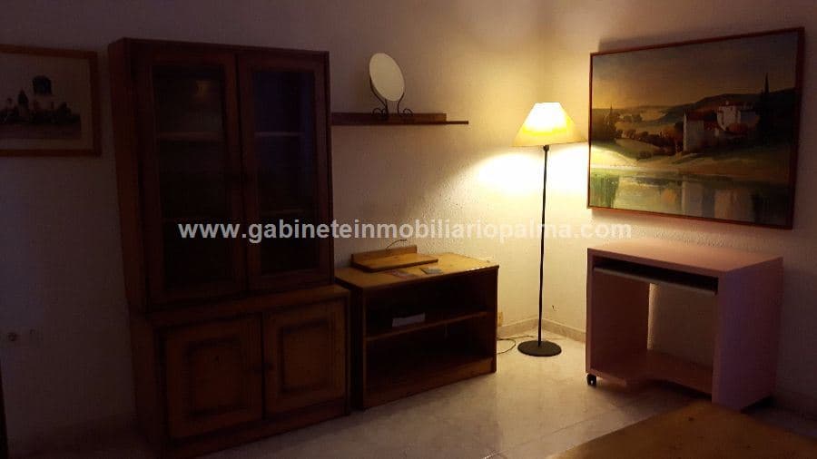 APARTAMENTO EN PALMA DE MALLORCA - Foto 4