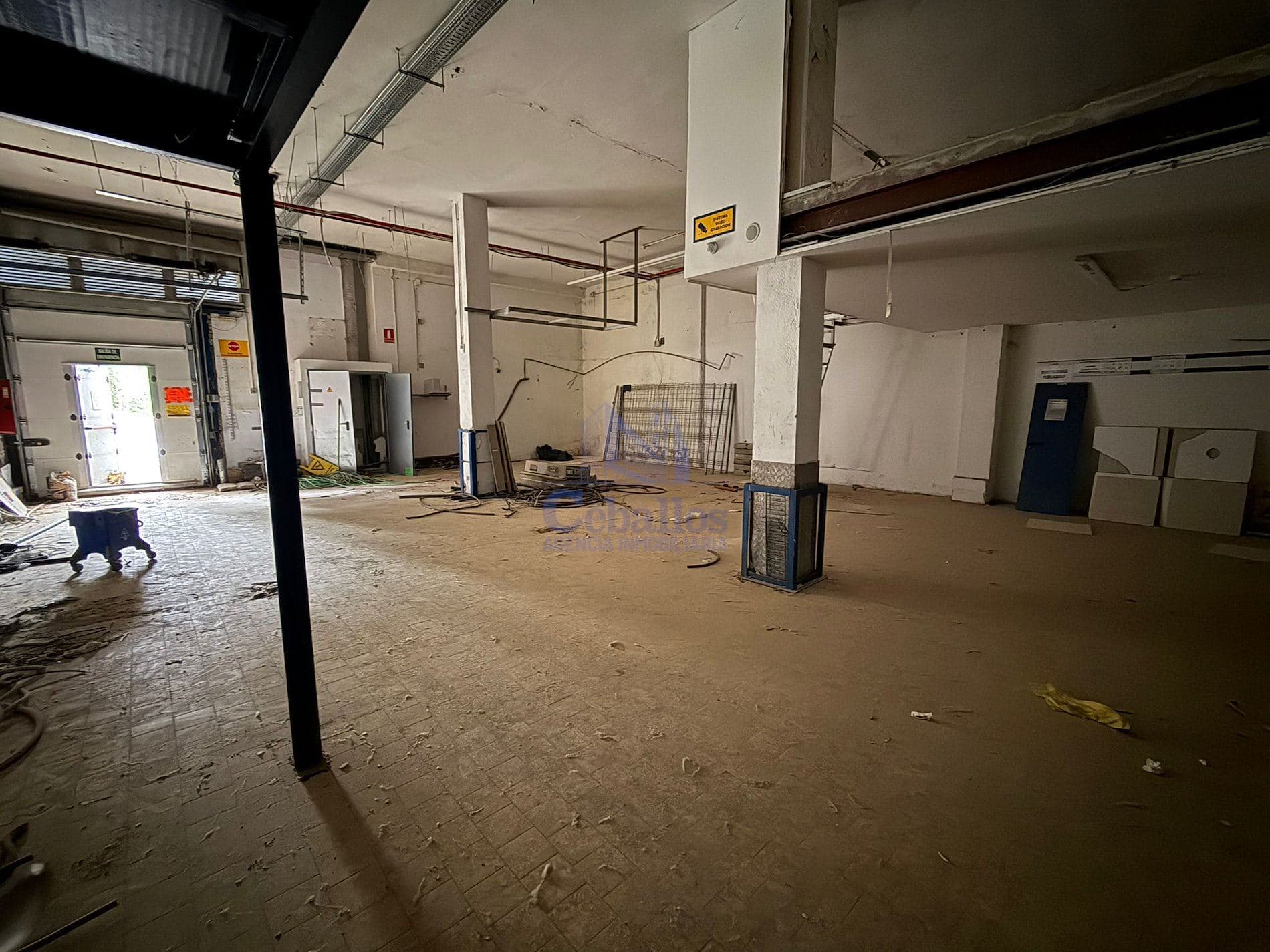 Local  Comercial en Alquiler - Foto 3