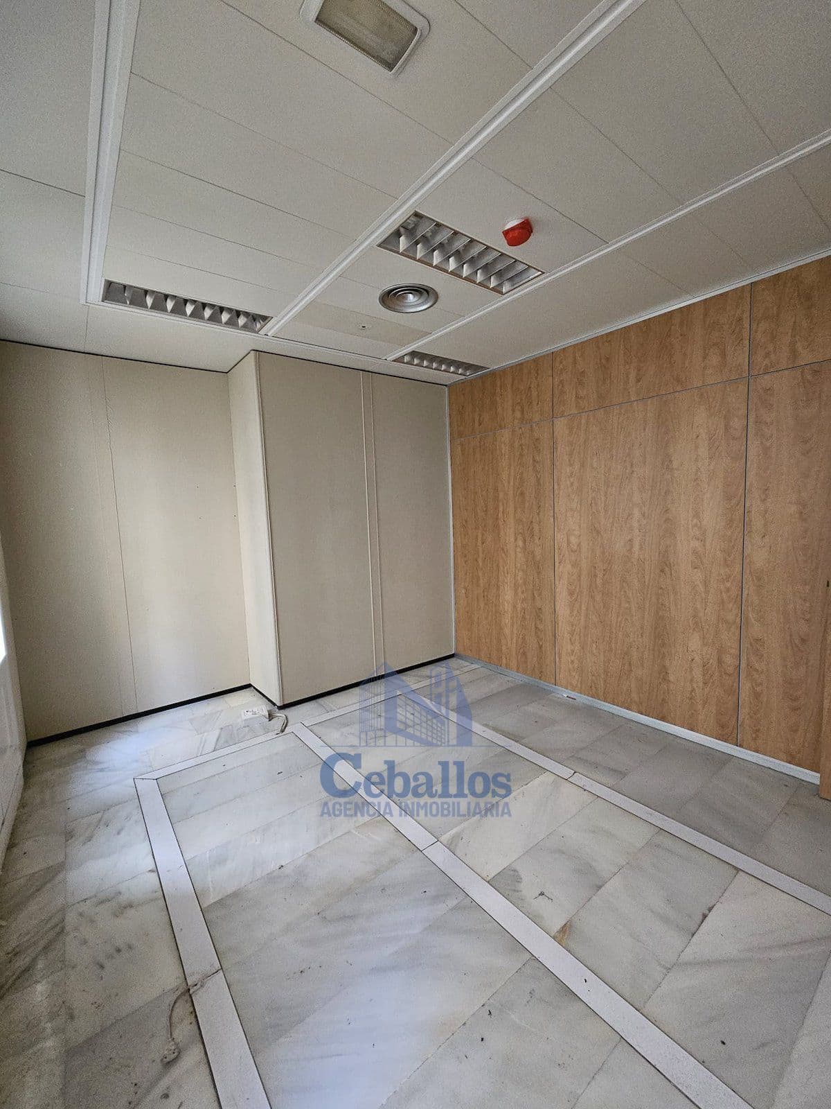 Oficinas en el centro en Alquiler - Foto 5