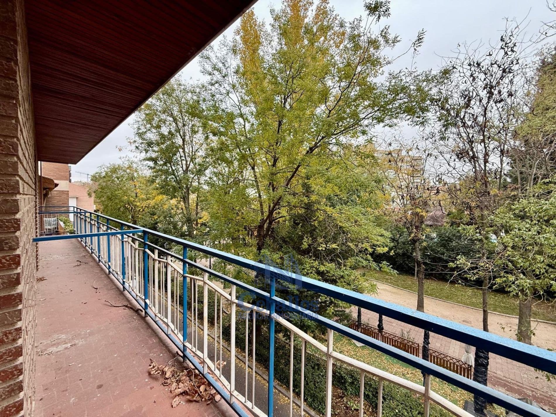 TU HOGAR EN PLENO CORAZÓN DE SAN ROQUE - Foto 1