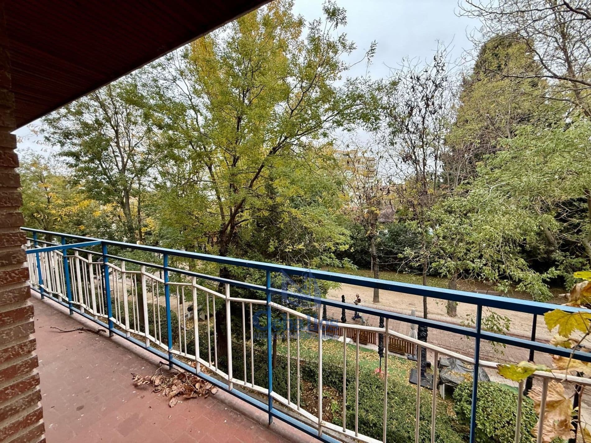 TU HOGAR EN PLENO CORAZÓN DE SAN ROQUE - Foto 5