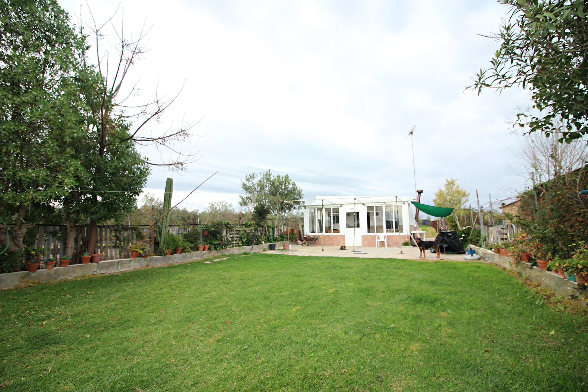 Parcela rústica de 3.000 m² con vivienda y gallinero en Gibraleón - Foto 2