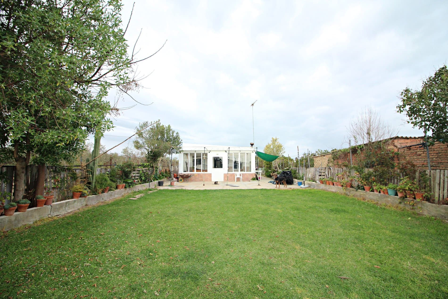 Parcela rústica de 3.000 m² con vivienda y gallinero en Gibraleón - Foto 1