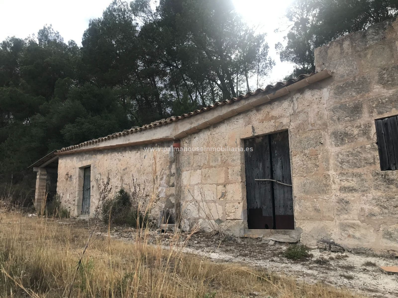 ENORME FINCA CON CONSTRUCCUION MUY PRIVADA!! - Foto 4
