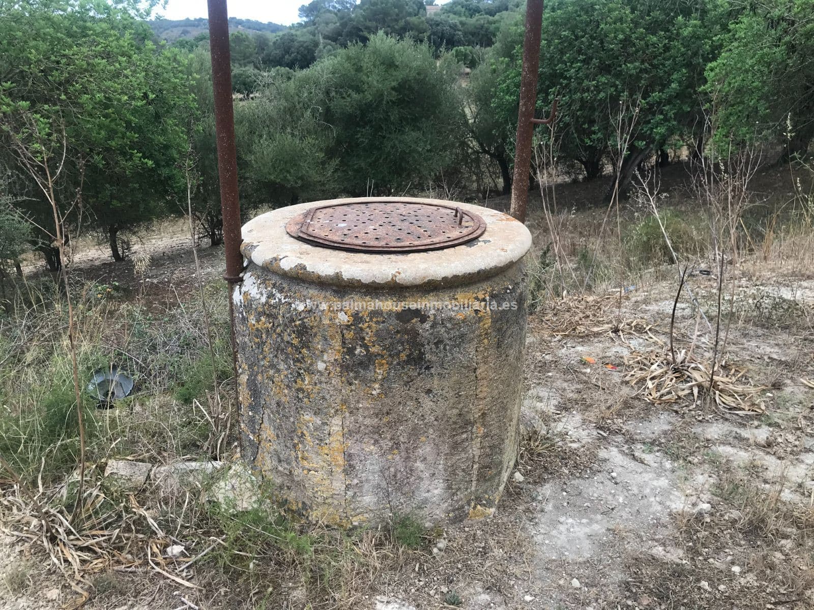 ENORME FINCA CON CONSTRUCCUION MUY PRIVADA!! - Foto 3