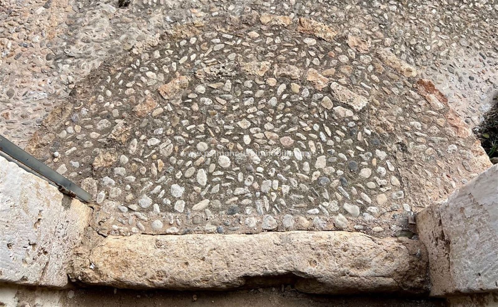 RUSTICA CON CASA!!! - Foto 3