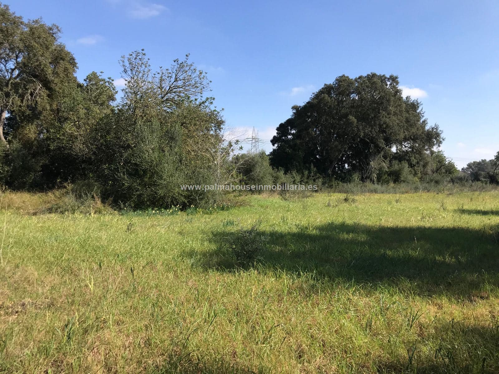 AMPLIO TERRENO, MUY PRIVADO - Foto 1