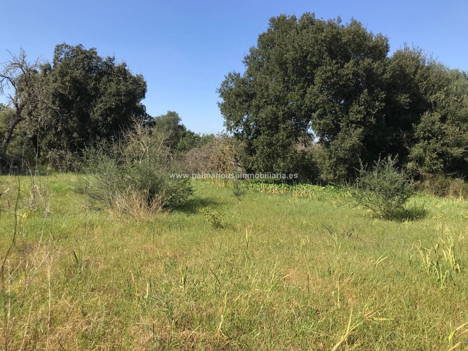 AMPLIO TERRENO, MUY PRIVADO - Foto 2