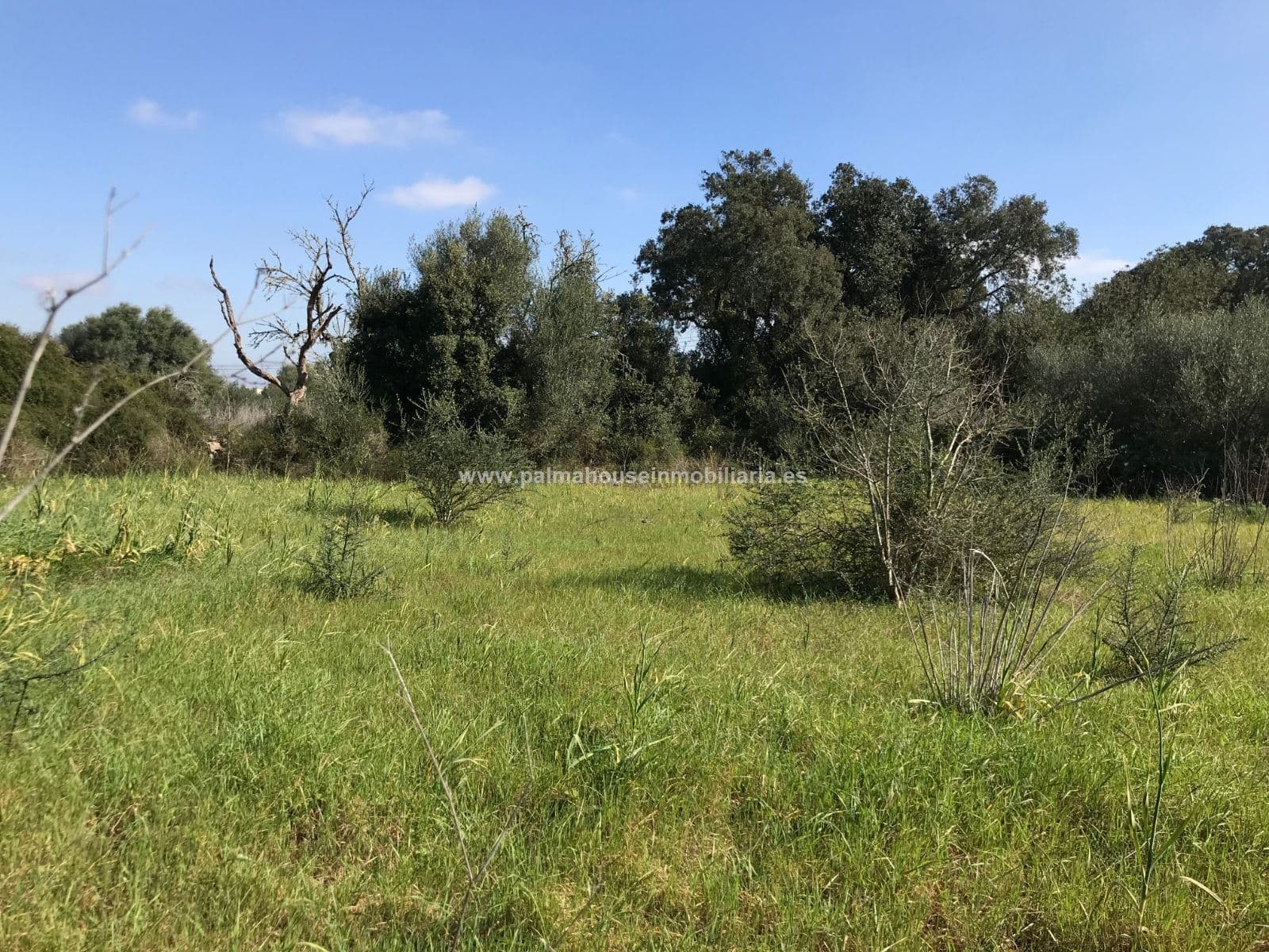 AMPLIO TERRENO, MUY PRIVADO - Foto 4