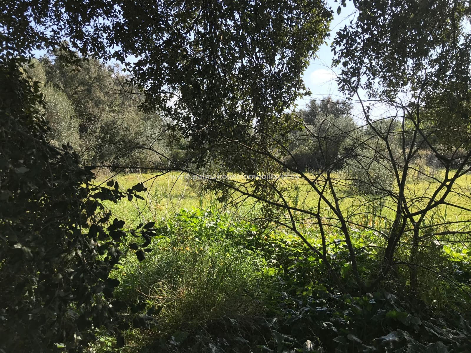 AMPLIO TERRENO, MUY PRIVADO - Foto 3