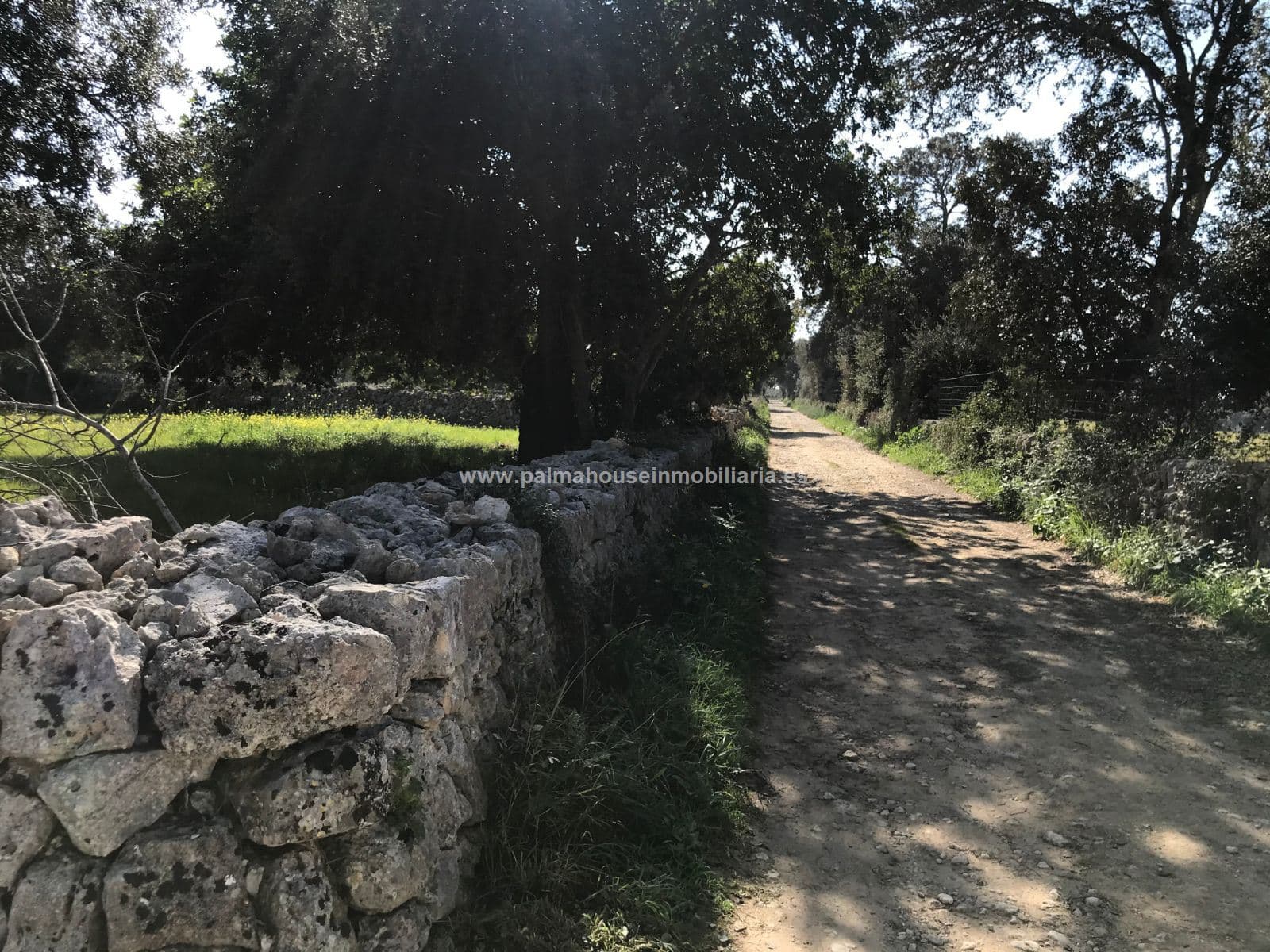 AMPLIO TERRENO, MUY PRIVADO - Foto 5