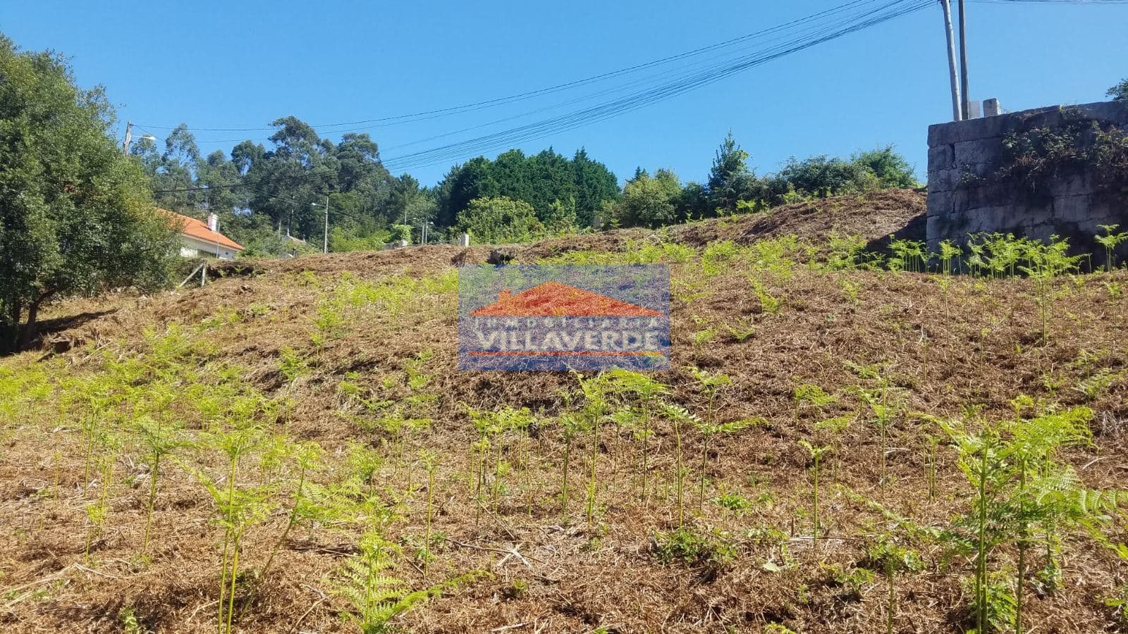 SOLAR EDIFICABLE PARA VARIAS VIVIENDAS INDEPENDIENTES COIRO - Foto 5