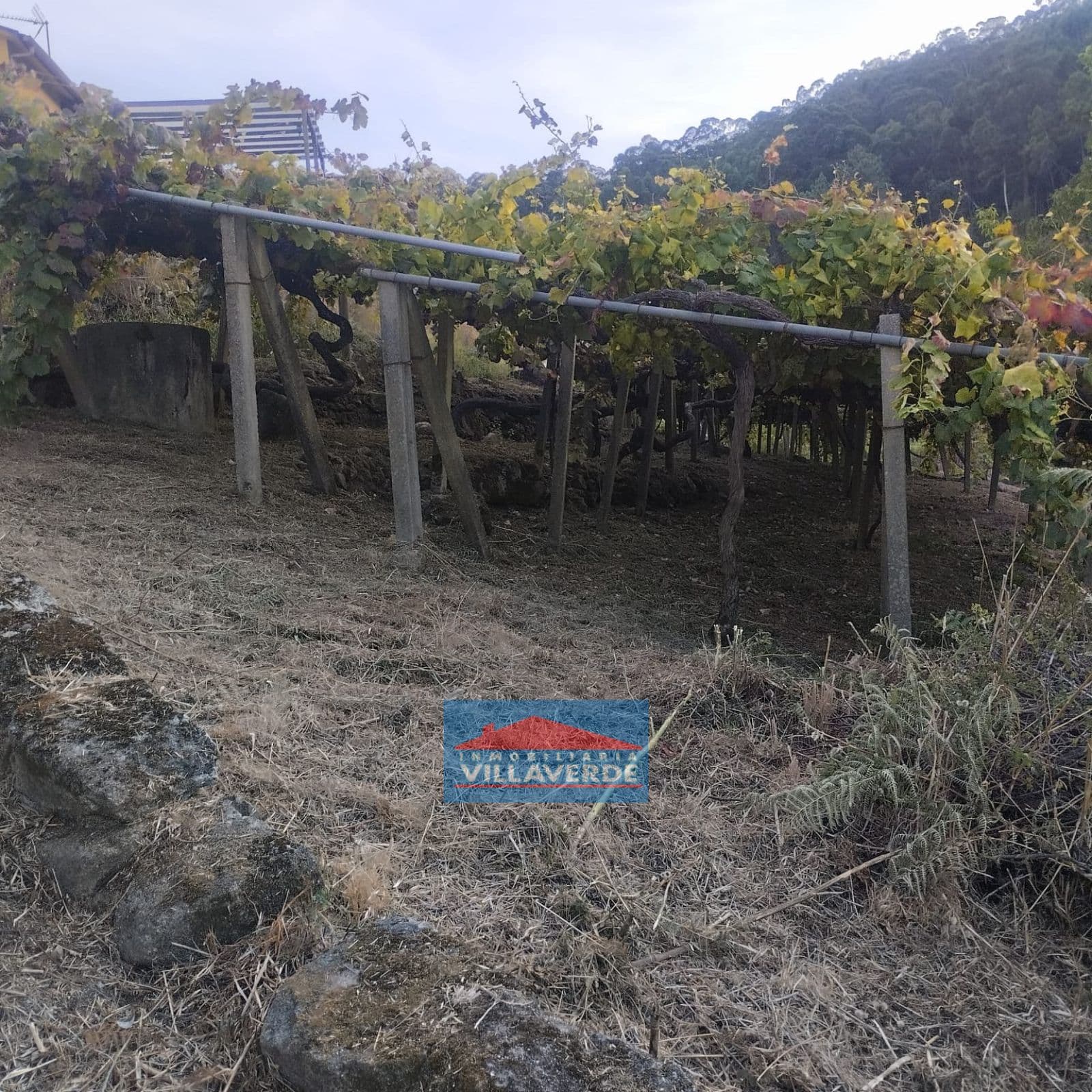 TERRENO EDIFICABLE Y REGISTRADO EN LA ZONA DE VILANOVA - Foto 5