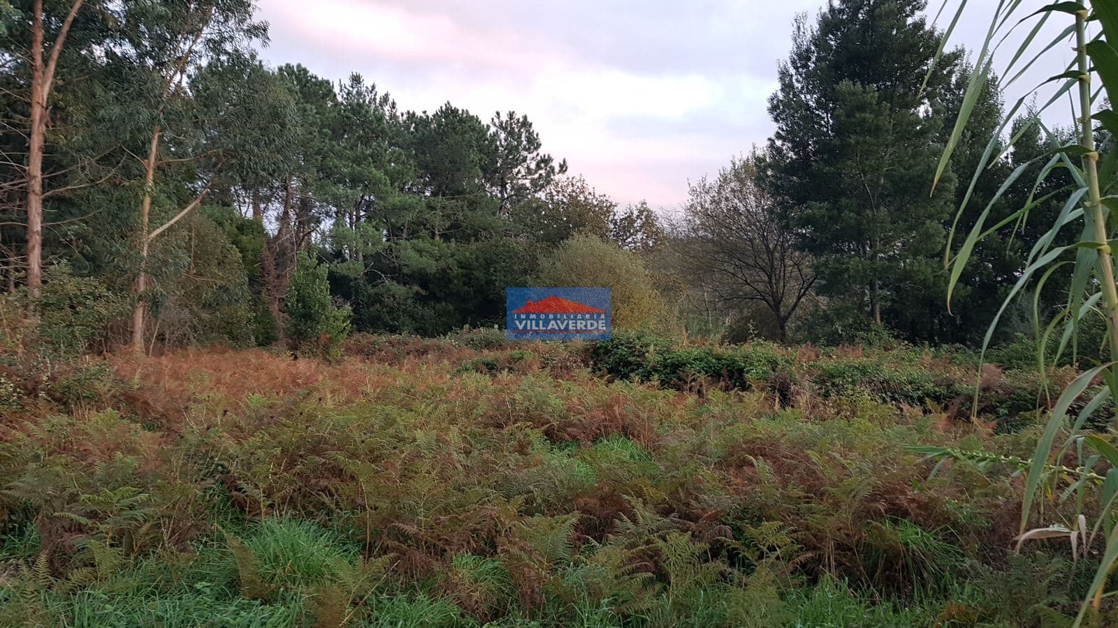 SOLAR EN AMEIXOADA. 3.200 M2 - Foto 2