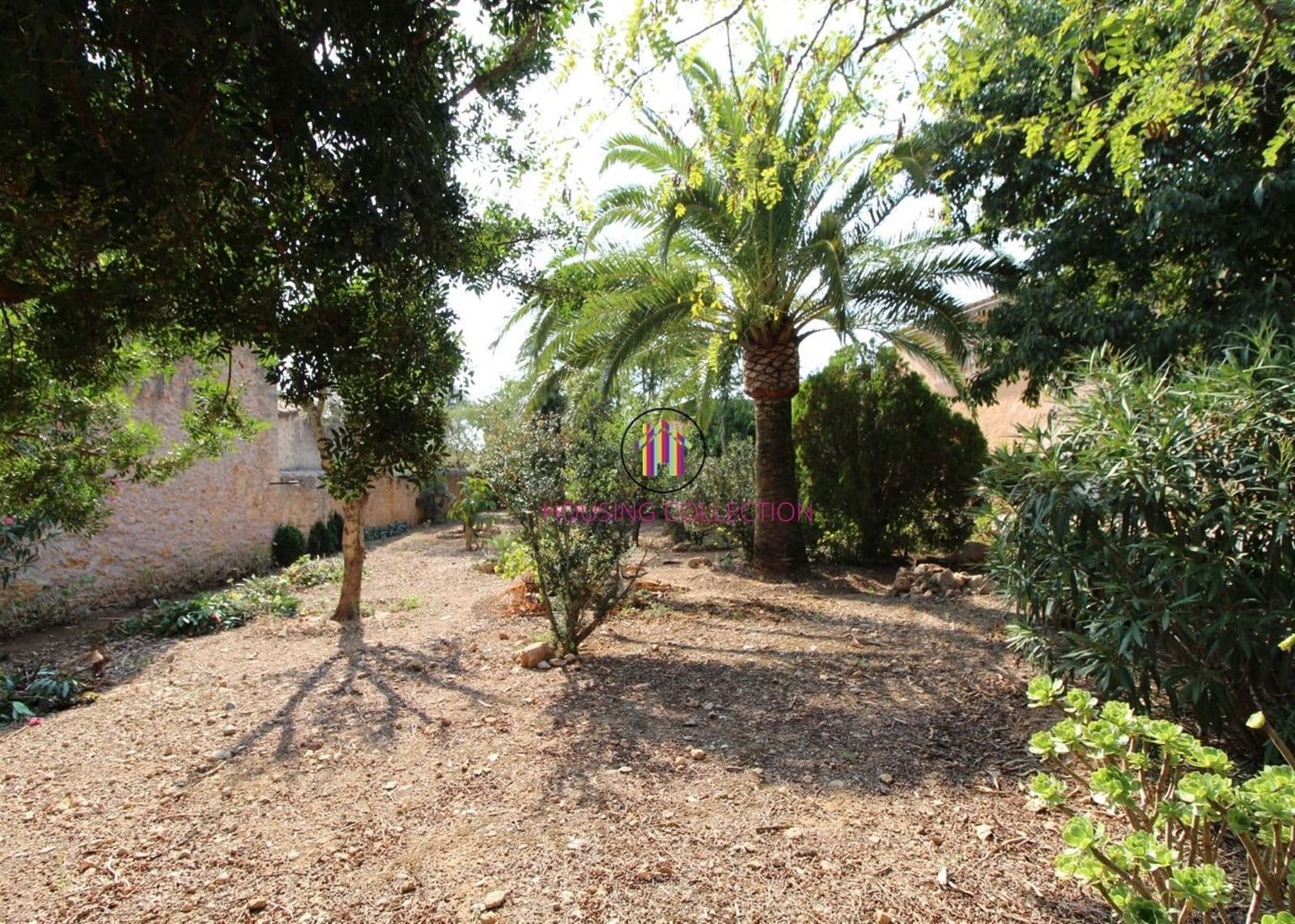 RÚSTICA EN PARCELA DE 40.000 M2 EN CONSELL - Foto 5