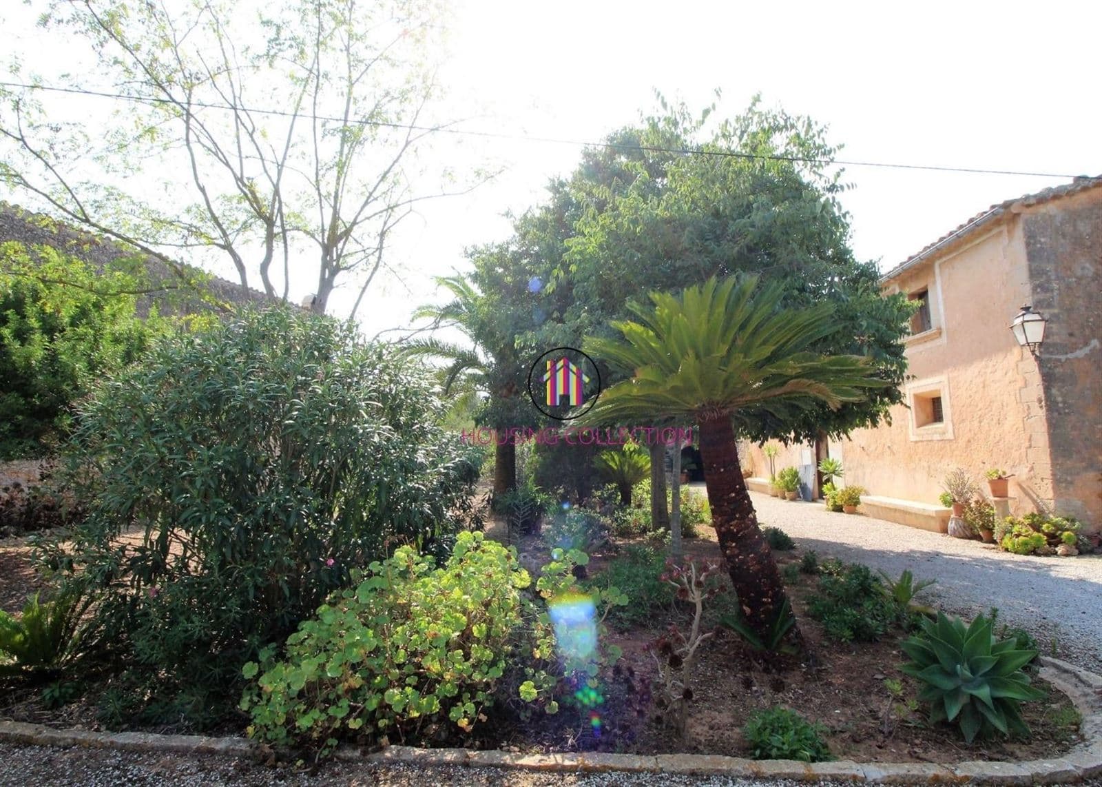 RÚSTICA EN PARCELA DE 40.000 M2 EN CONSELL - Foto 3