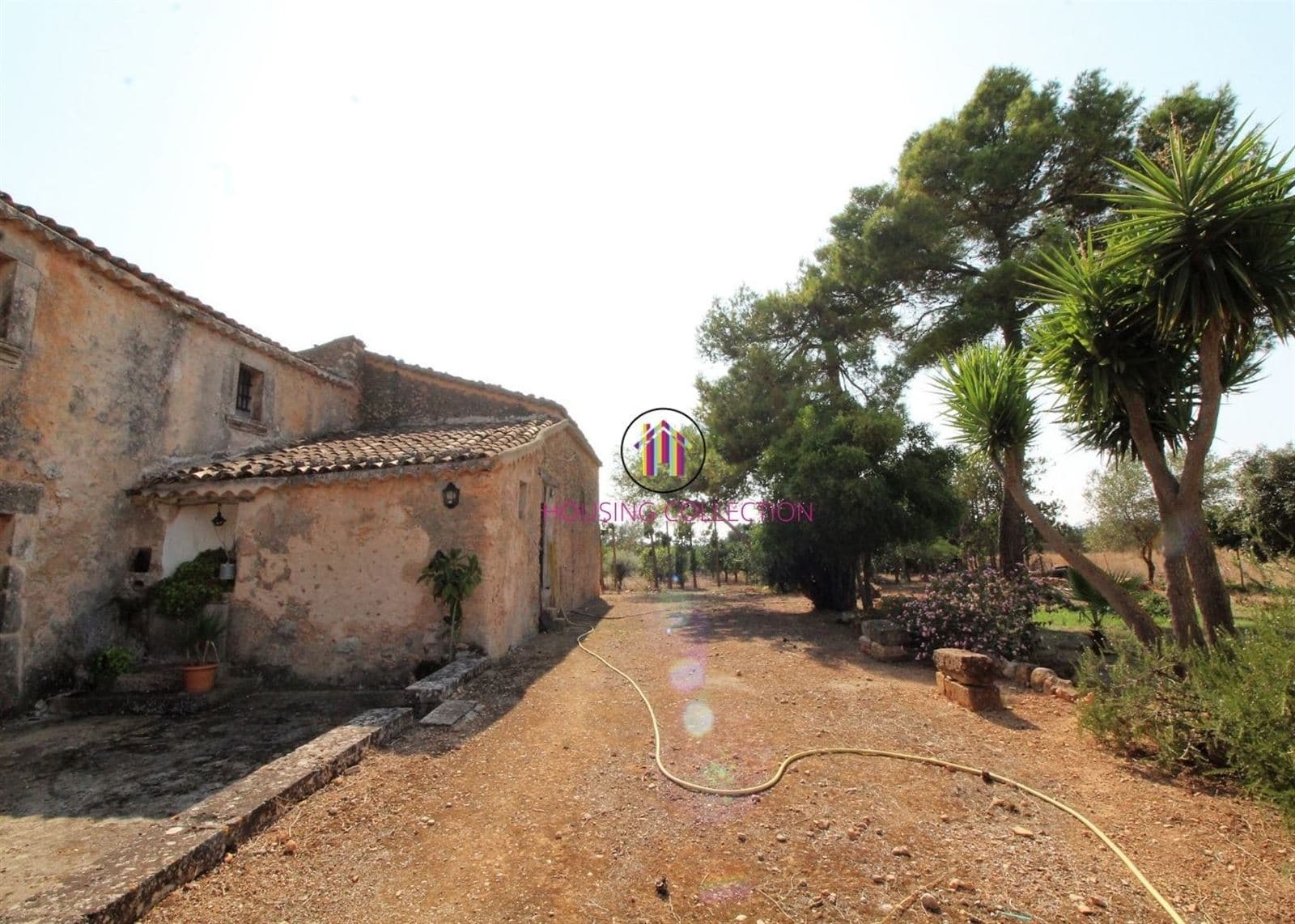 RÚSTICA EN PARCELA DE 40.000 M2 EN CONSELL - Foto 4