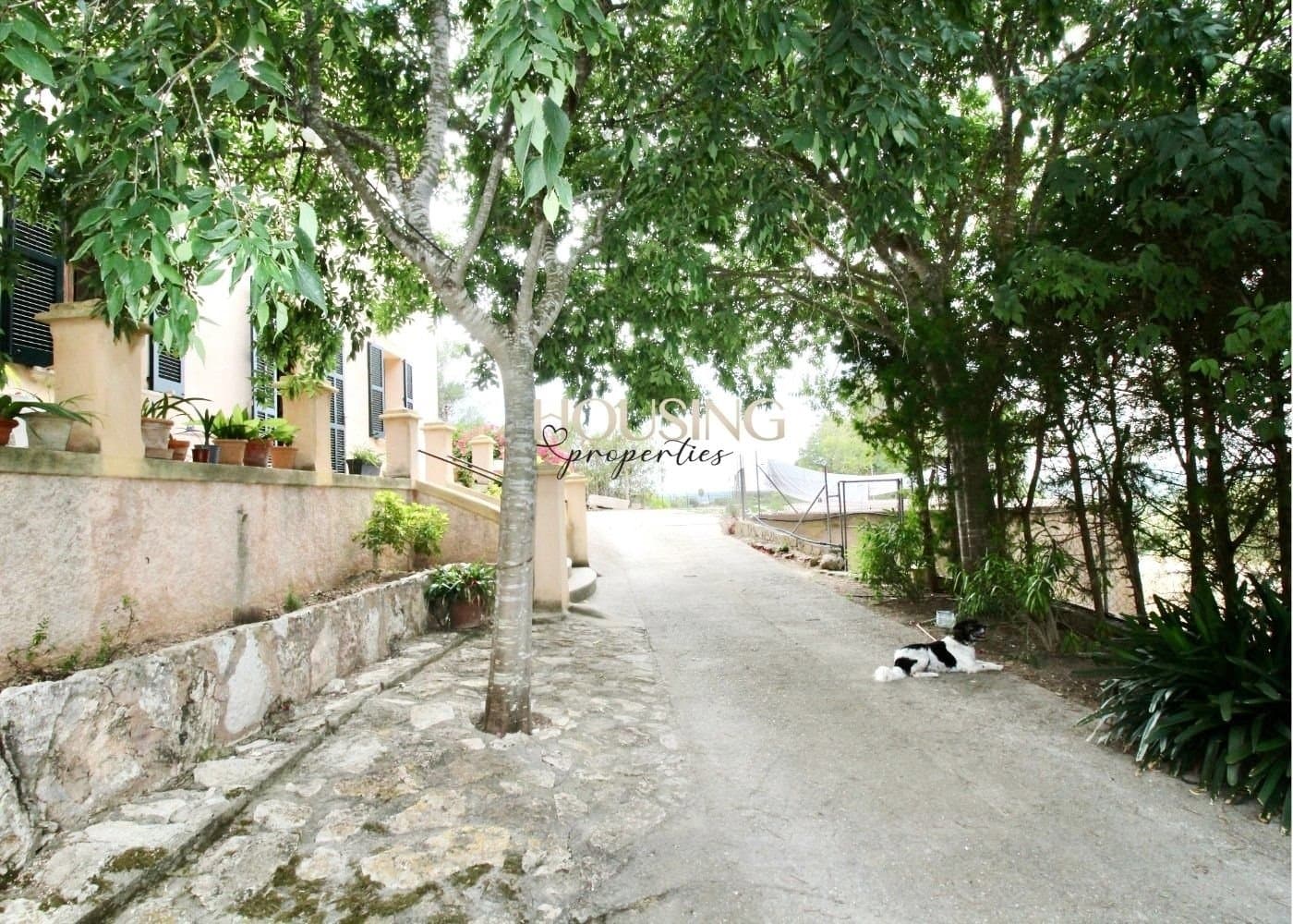 OPORTUNIDAD!! RÚSTICA CON CÉDULA Y TOTALMENTE LEGAL EN COSTIX - Foto 3