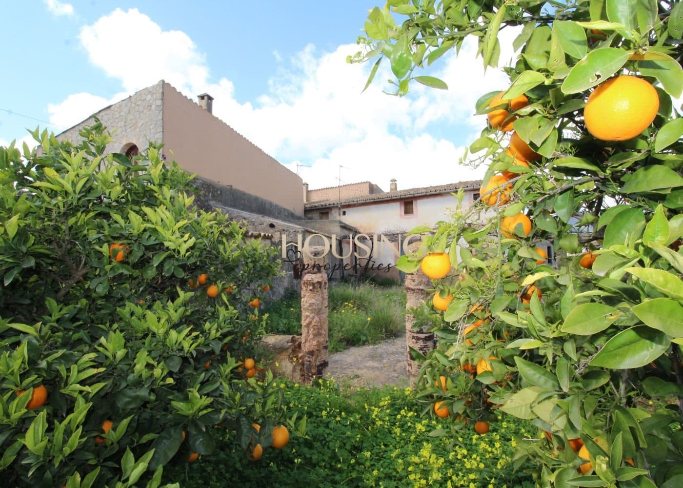 FINCA RUSTICA A REFORMAR EN SANTA MARÍA DEL CAMÍ - Foto 5