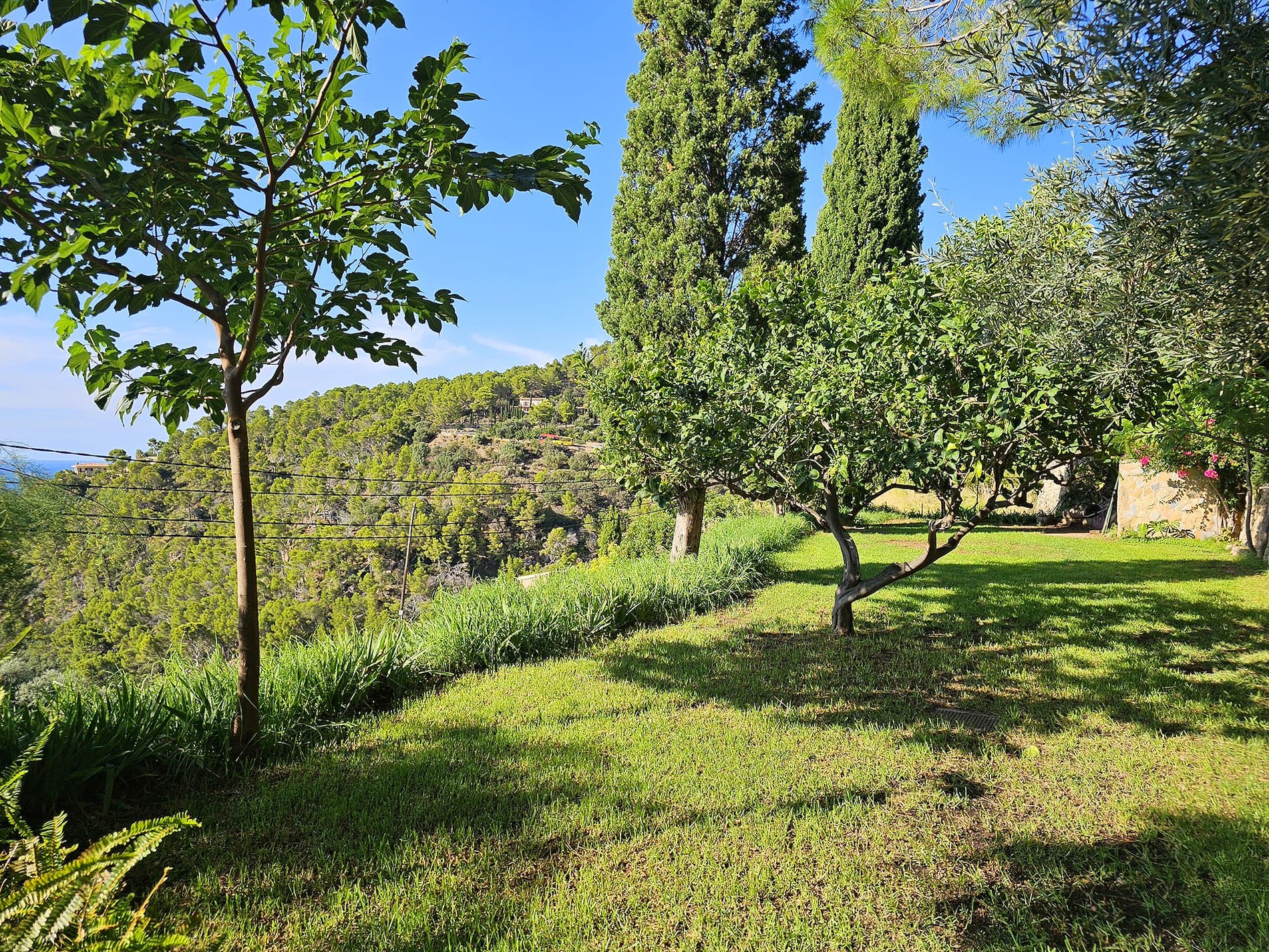 PRECIOSA RÚSTICA EN EL PUEBLO DE BANYALBUFAR - Foto 4