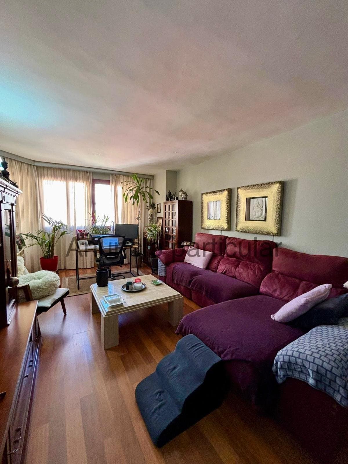 PISO CÉNTRICO EN RESIDENCIAL CON PISCINA Y PLAZA DE PARKING - Foto 1