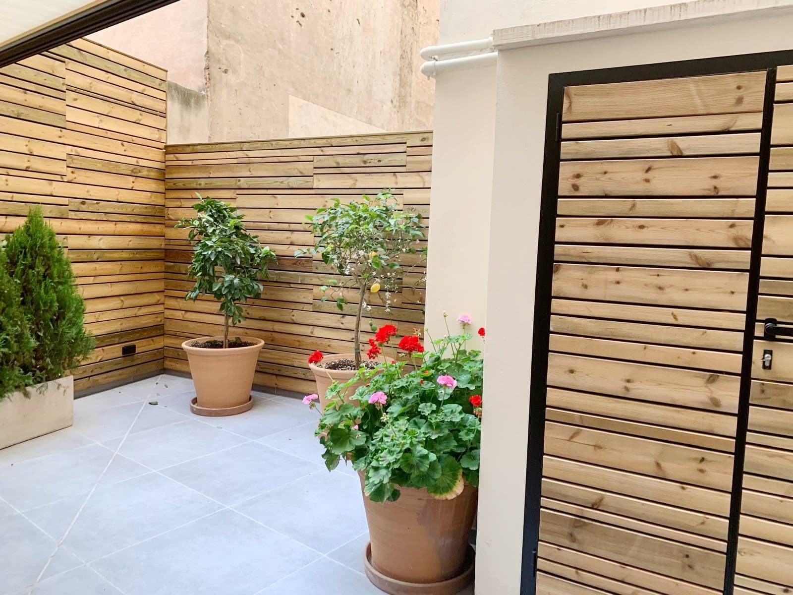 PISO CON AMPLIO PATIO EN ZONA PASEO MALLORCA - Foto 2