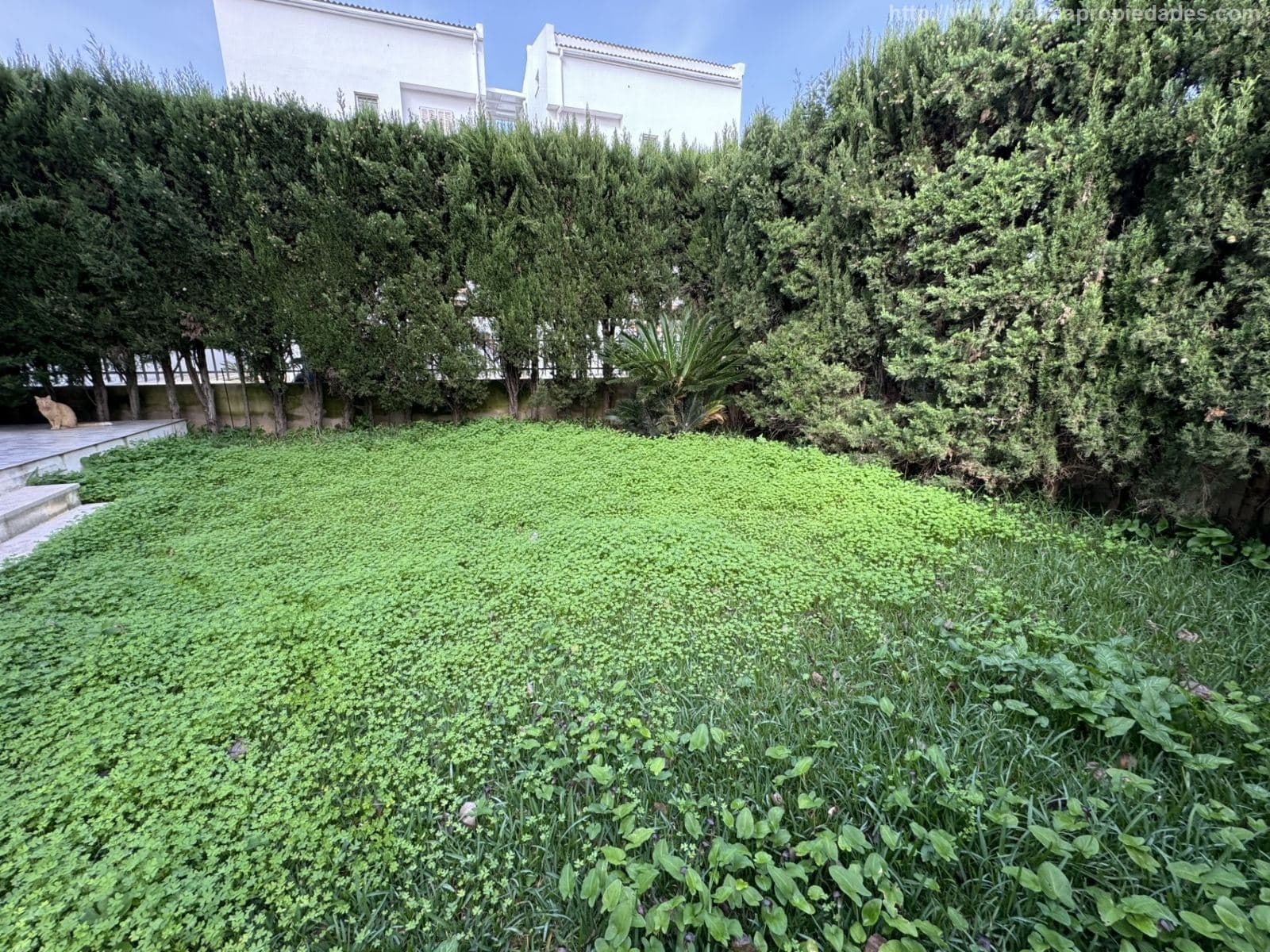 Planta Baja - Alcudia - Foto 2