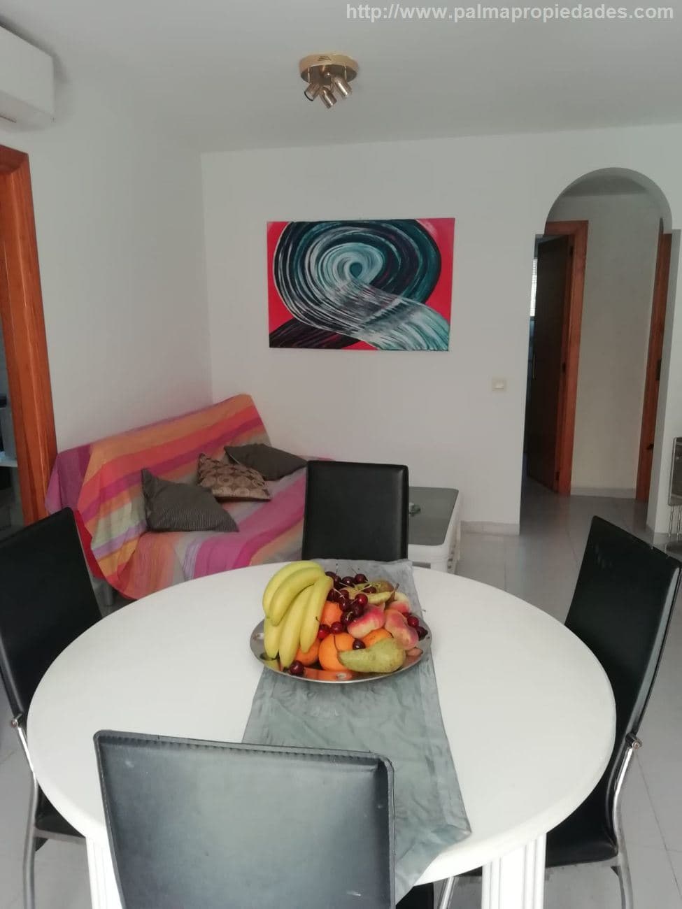 Planta Baja - Alcudia - Foto 4