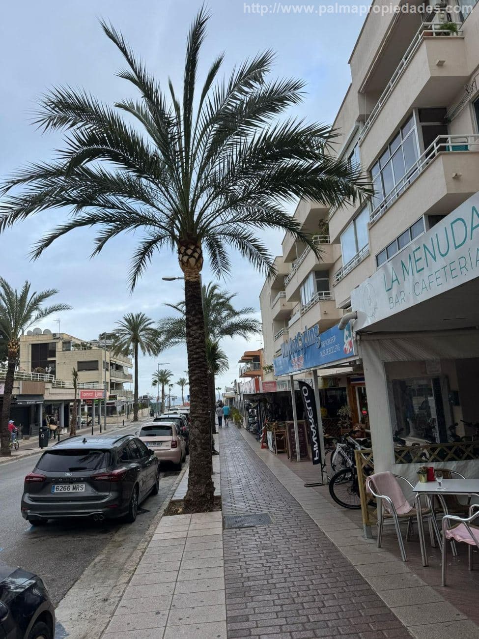 ESTUDIO EN ALQUILER TEMPORAL EN PALMANOVA - Foto 5