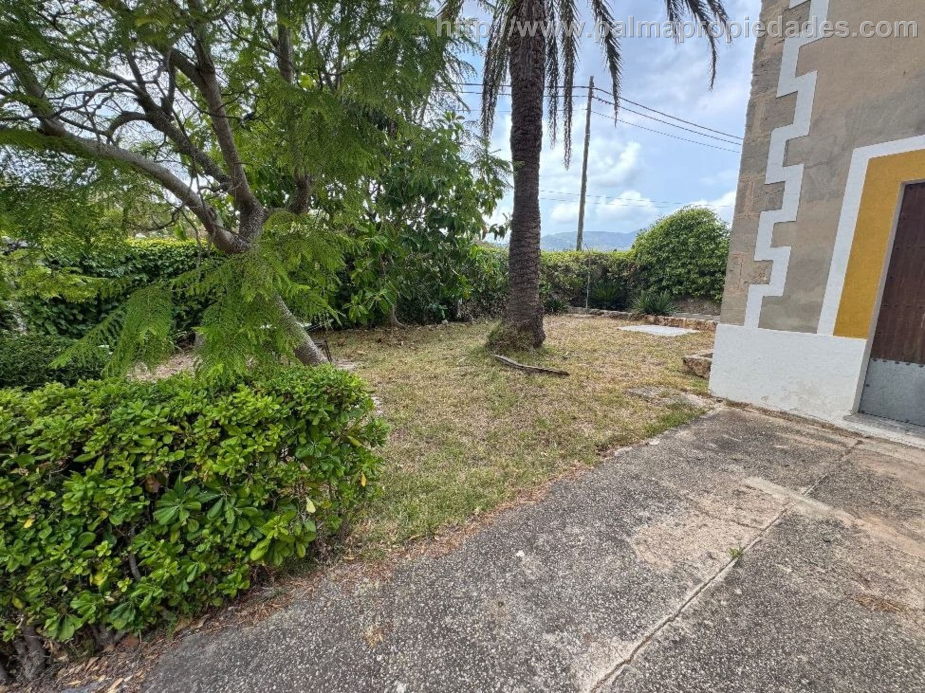 Finca - Establiments, Palma De Mallorca - Foto 5