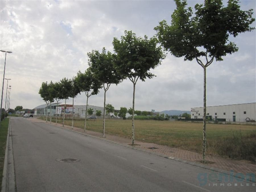 PARCELA INDUSTRIAL DE 9.541m², EN FORALLAC - Foto 4
