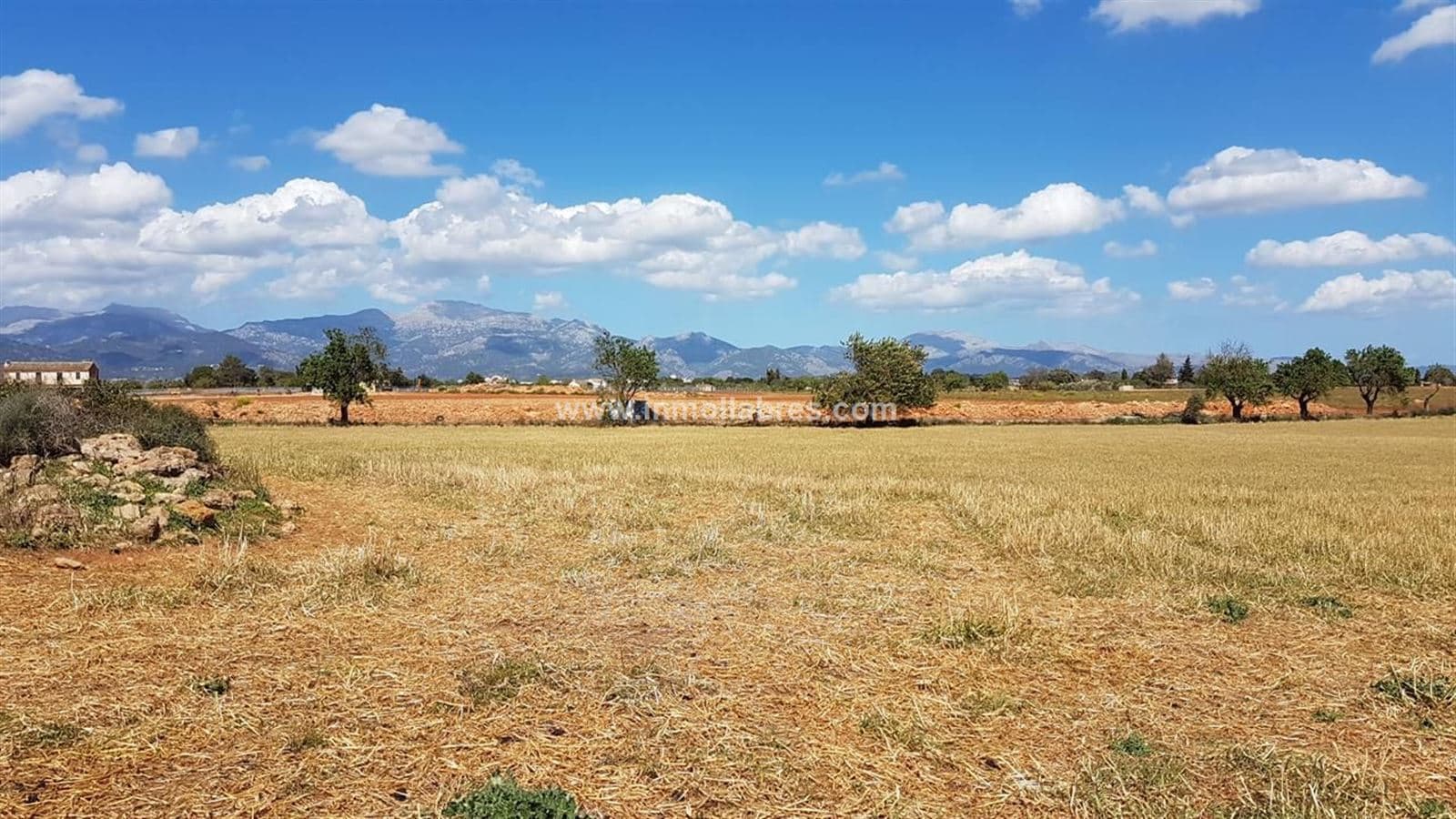 Gran finca rústica edificable - Foto 4