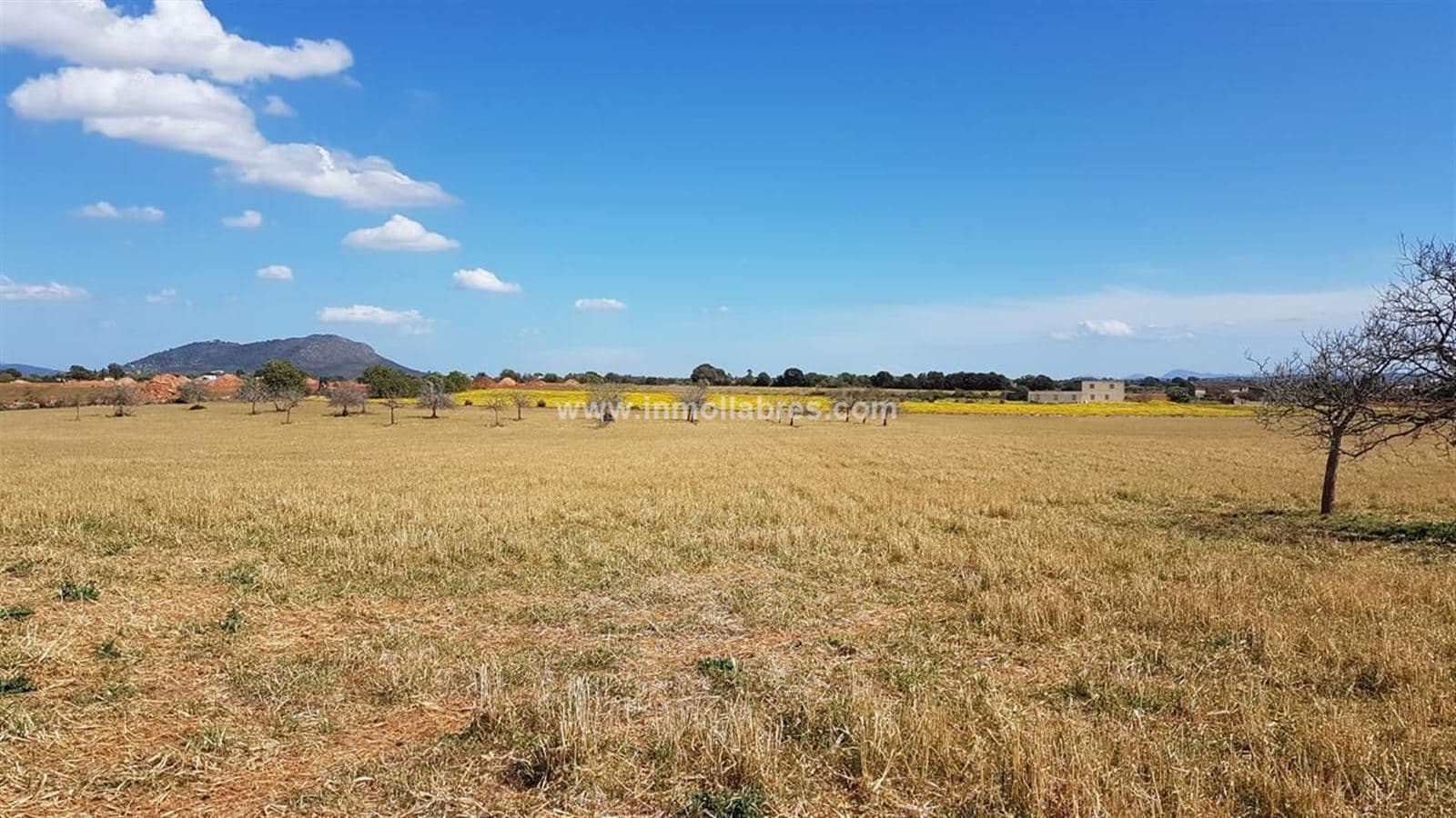 Gran finca rústica edificable - Foto 2