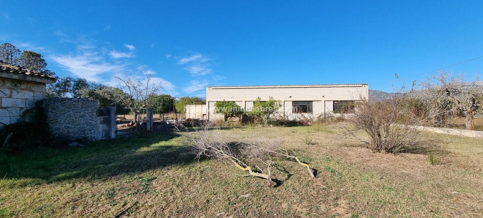 MACNIFICA FINCA CON CASA MALLORQUINA - Foto 5