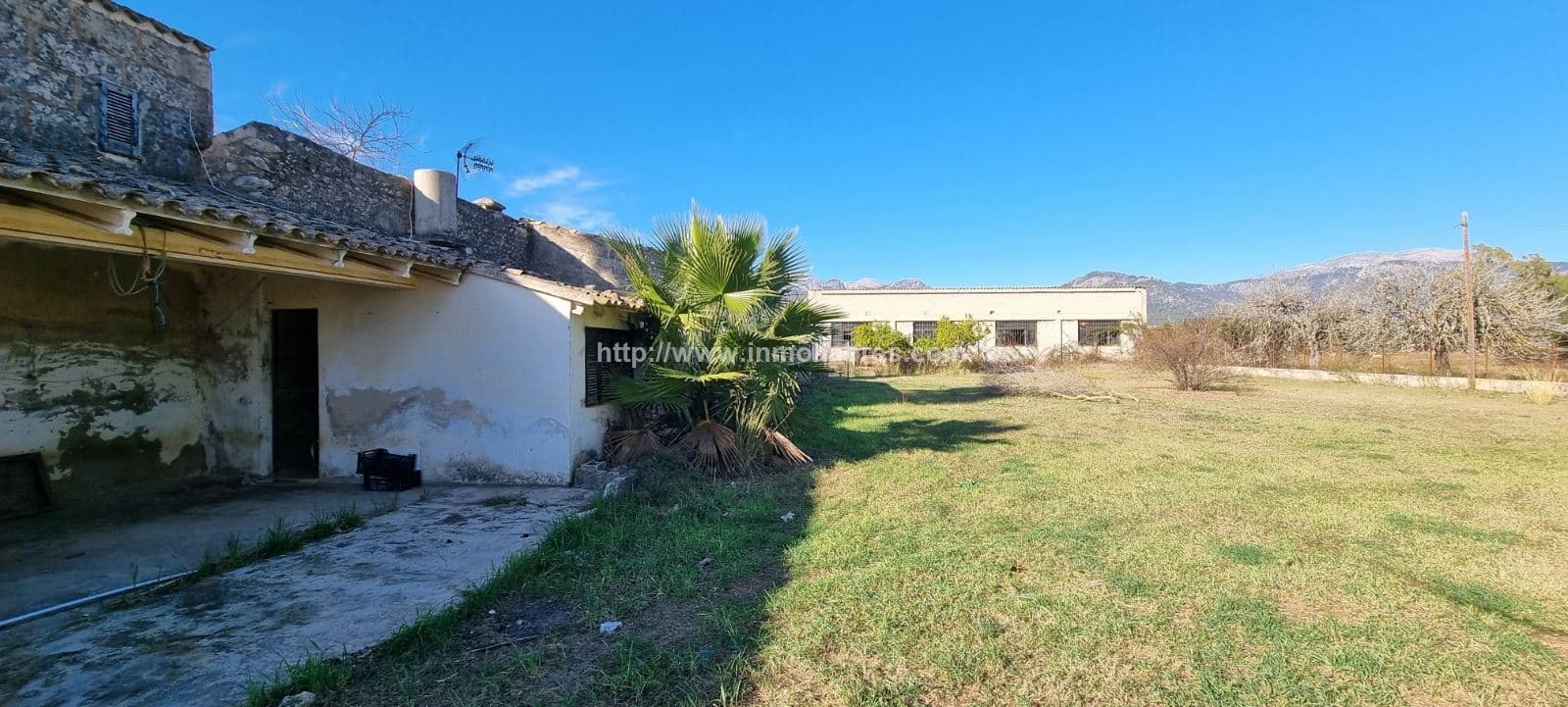 MACNIFICA FINCA CON CASA MALLORQUINA - Foto 3