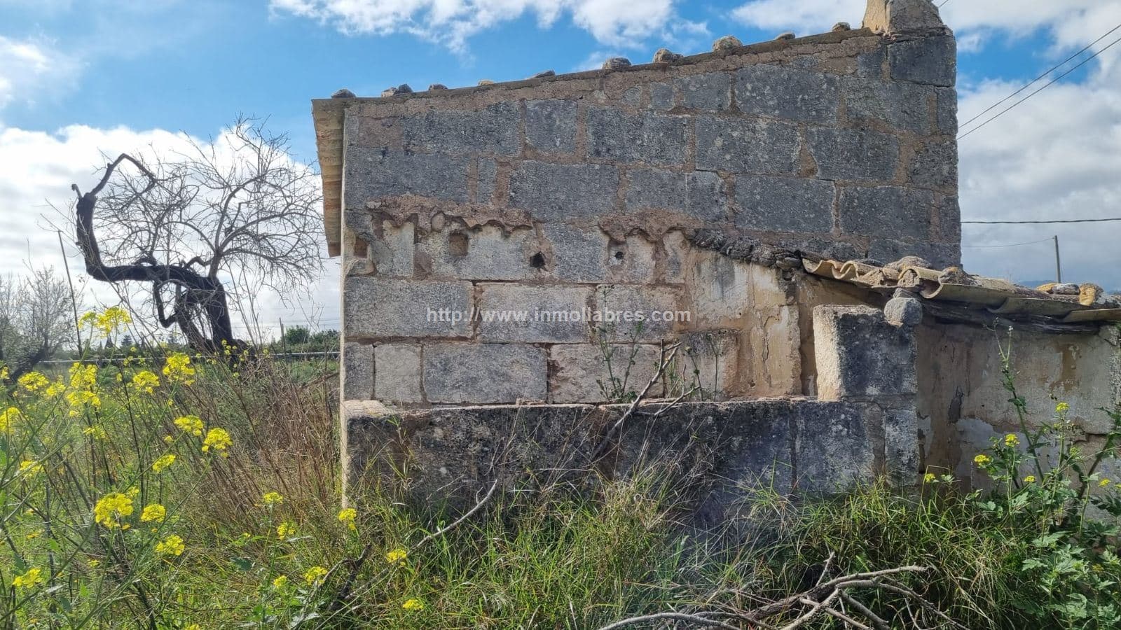 PRECIOSA FINCA EN SELVA - Foto 5