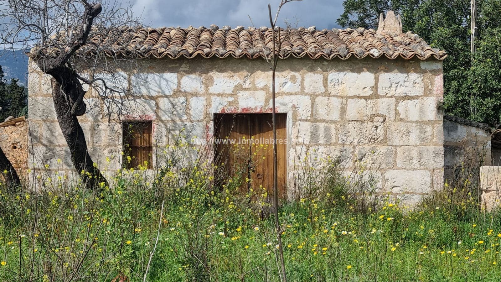 PRECIOSA FINCA EN SELVA - Foto 1