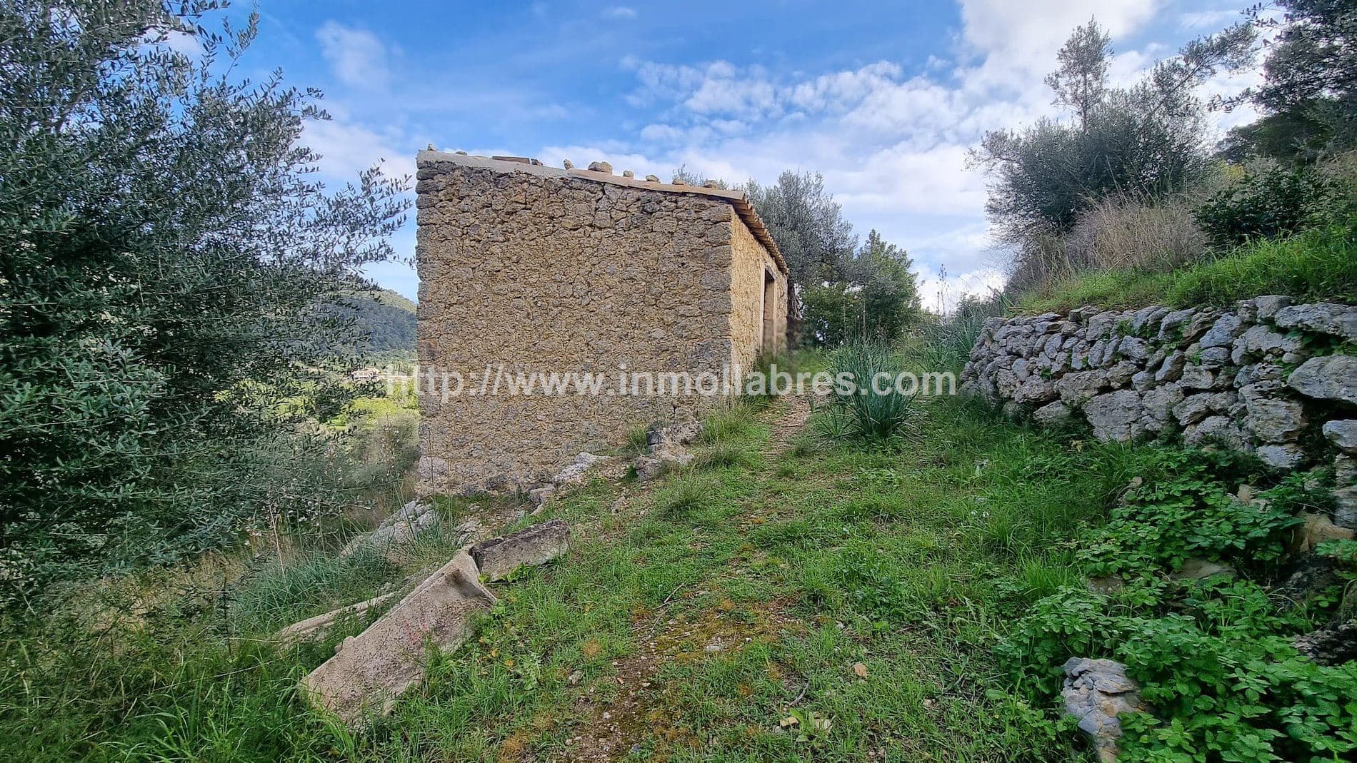 ESPECTACULAR FINCA EN SELVA - Foto 3