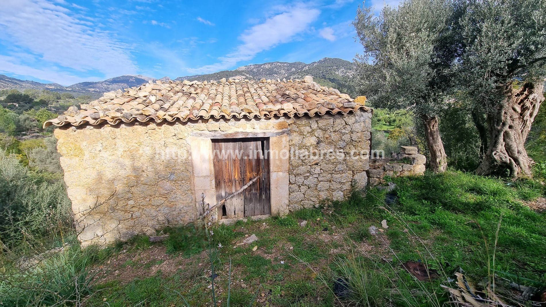 ESPECTACULAR FINCA EN SELVA - Foto 2