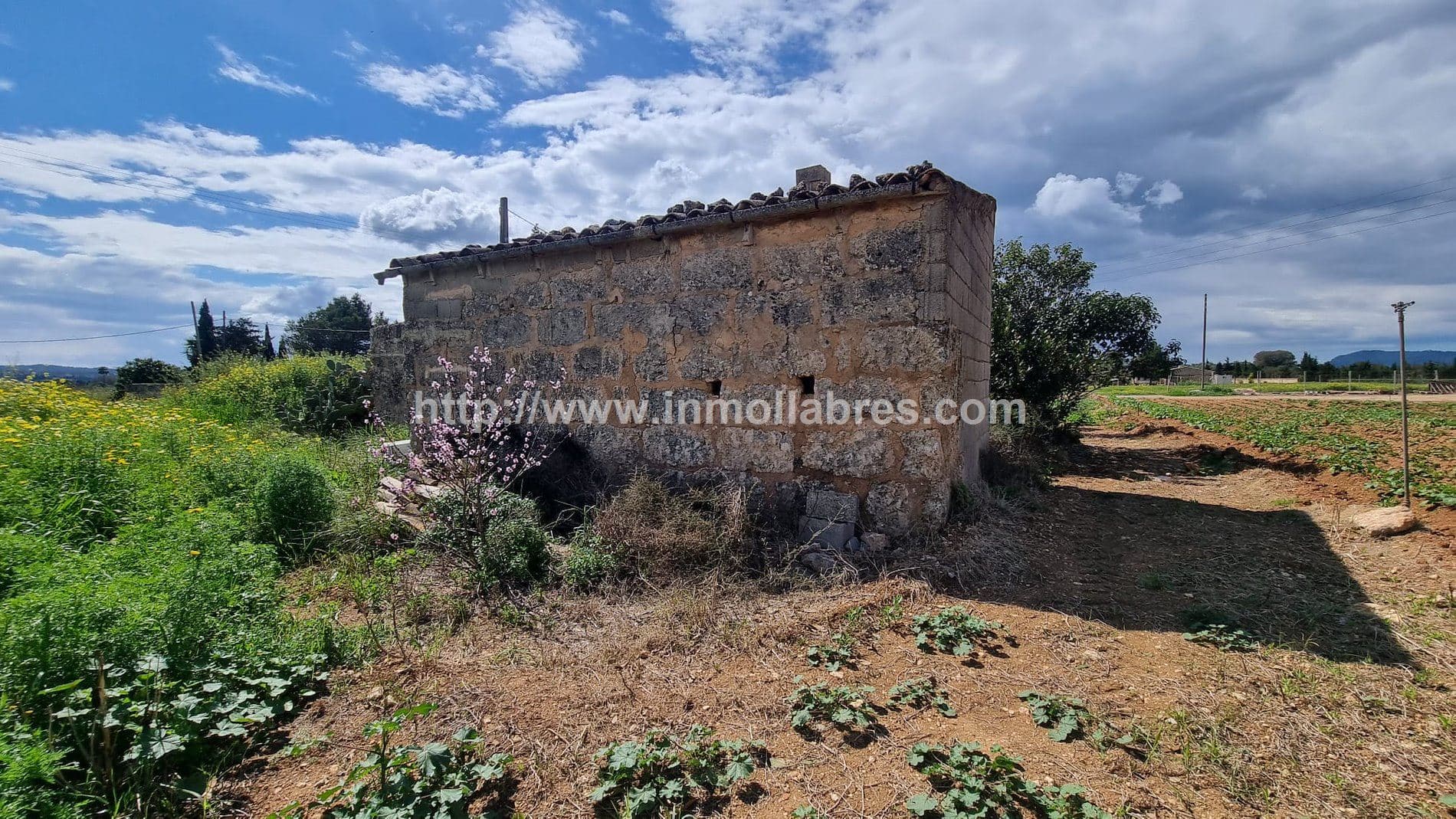 FINCA RUSTICA EN  SA POBLA - Foto 3