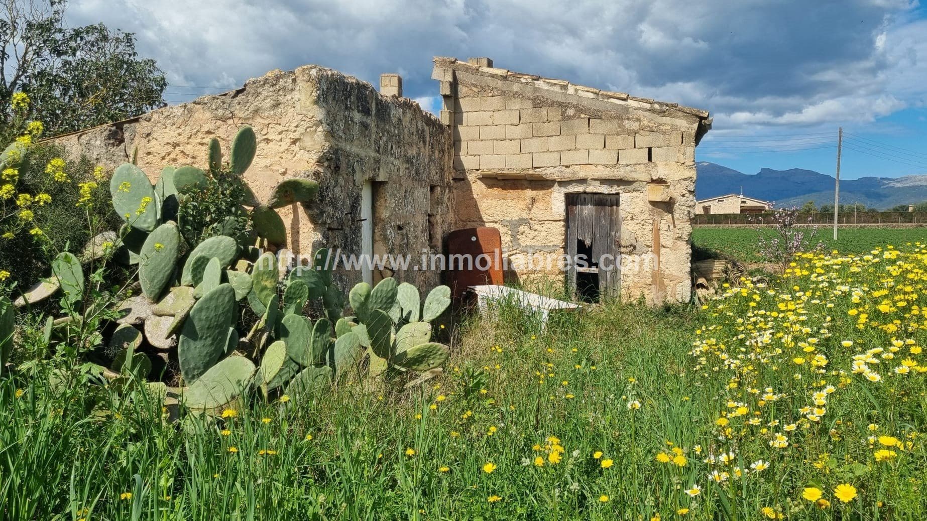 FINCA RUSTICA EN  SA POBLA - Foto 1