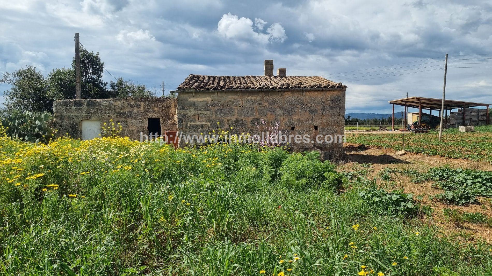 FINCA RUSTICA EN  SA POBLA - Foto 2