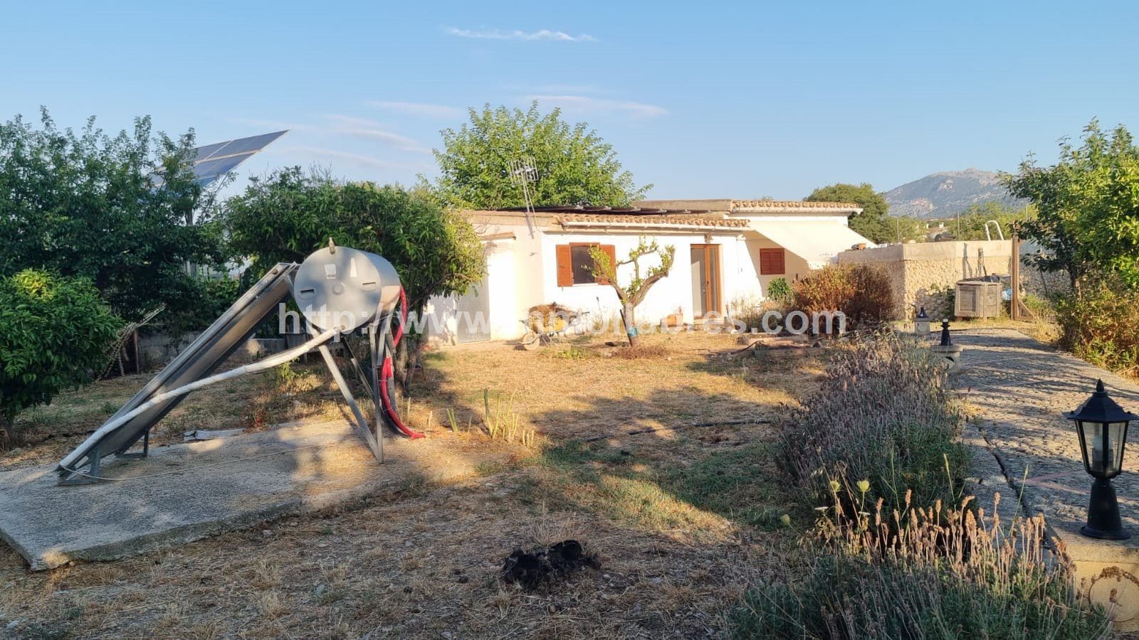 PRECIOSA FINCA EN SELVA CON DOS EDIFICACIONES - Foto 4