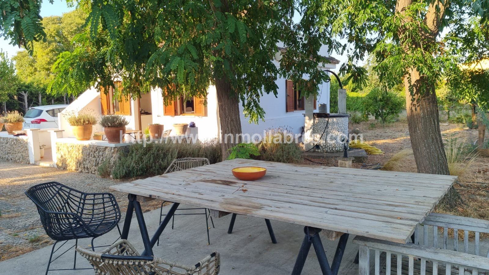 PRECIOSA FINCA EN SELVA CON DOS EDIFICACIONES - Foto 5